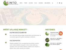 Tablet Screenshot of cinto.hu